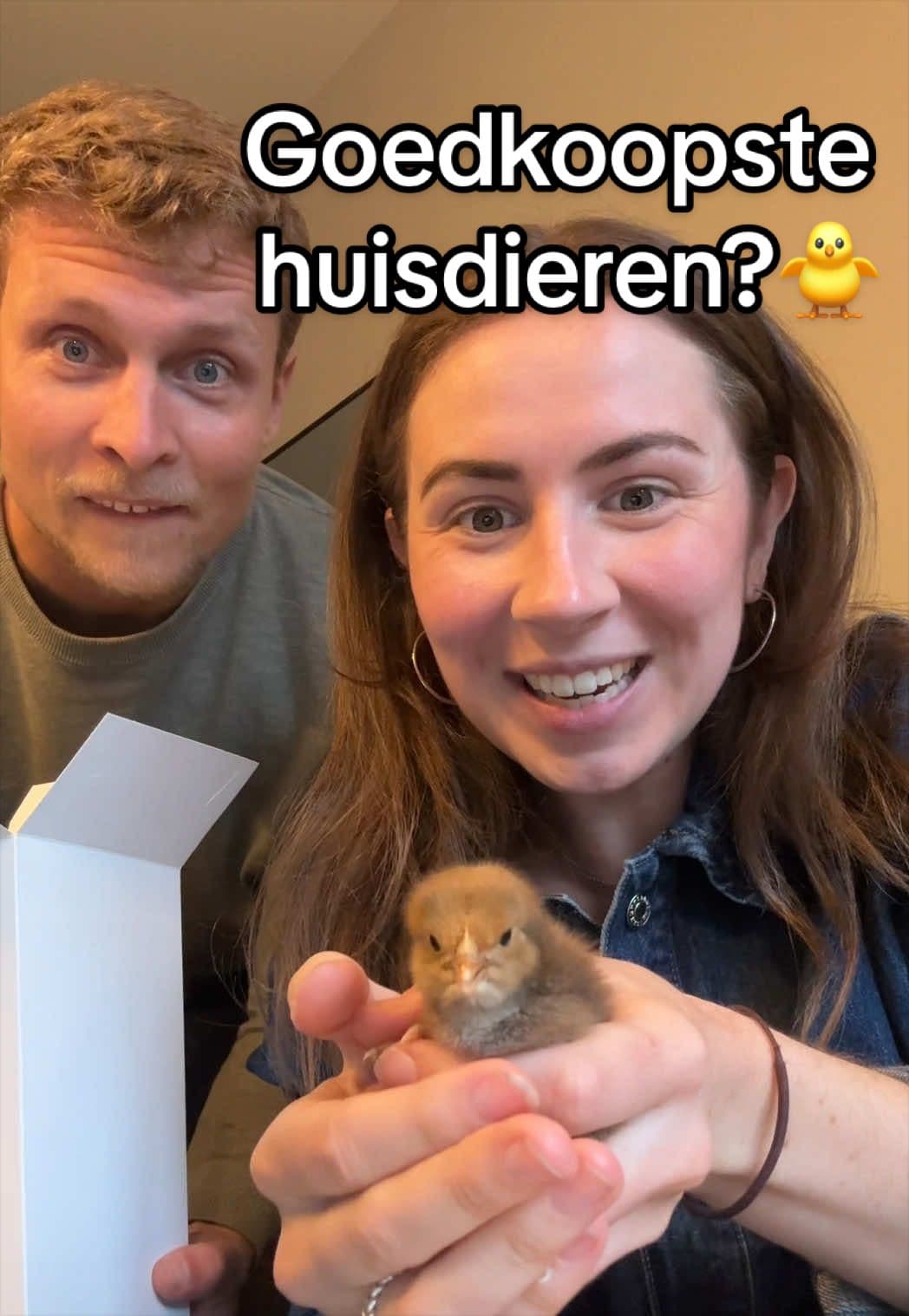 Gebruiker